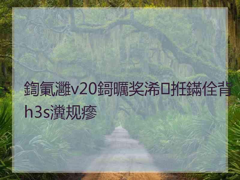 鍧氭灉v20鎶曞奖浠拰鏋佺背h3s瀵规瘮