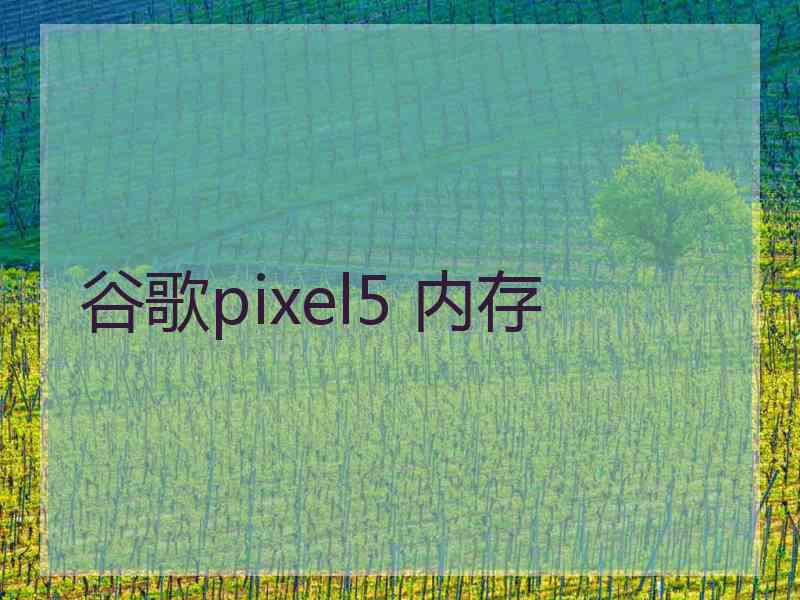 谷歌pixel5 内存