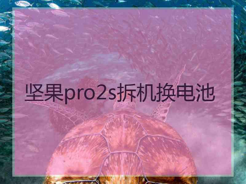 坚果pro2s拆机换电池