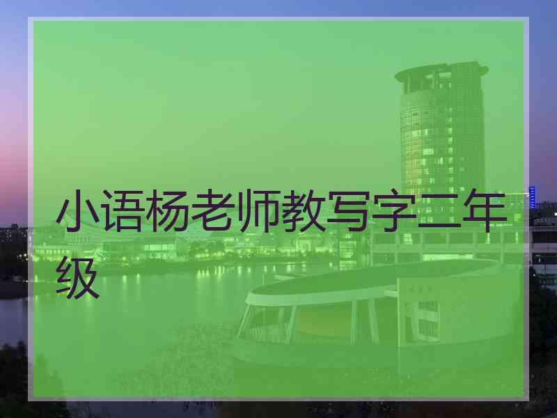 小语杨老师教写字二年级