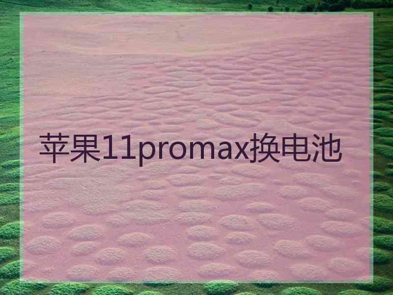 苹果11promax换电池