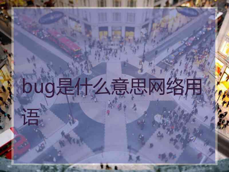 bug是什么意思网络用语