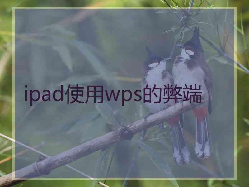 ipad使用wps的弊端