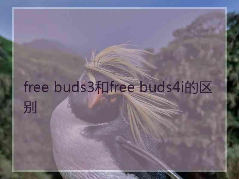 free buds3和free buds4i的区别