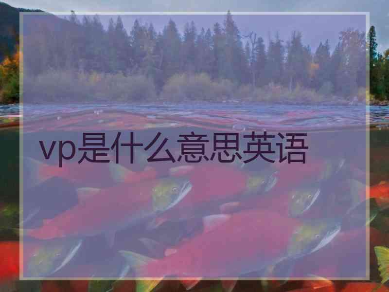 vp是什么意思英语