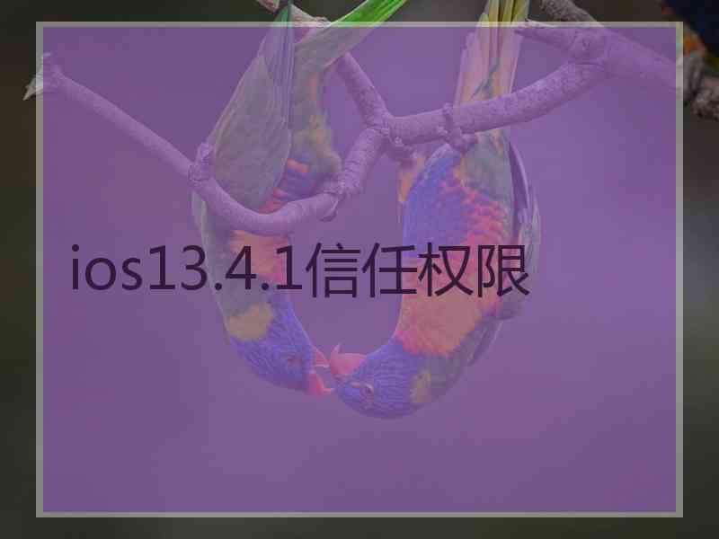 ios13.4.1信任权限