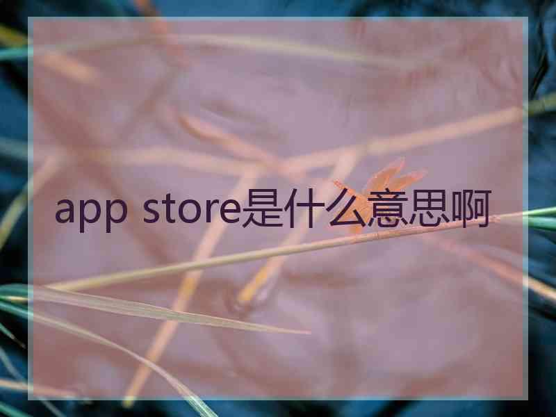 app store是什么意思啊