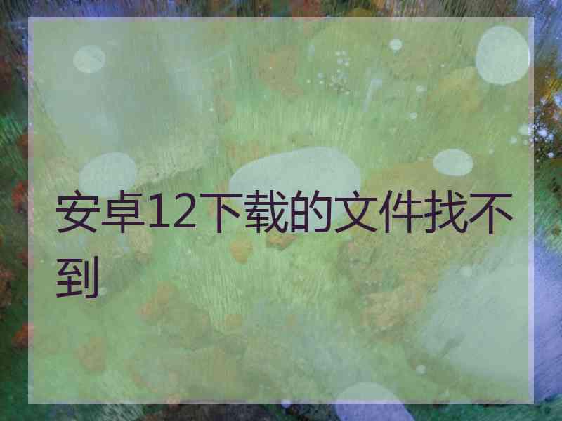 安卓12下载的文件找不到