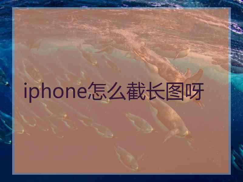 iphone怎么截长图呀