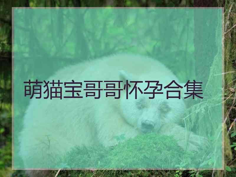 萌猫宝哥哥怀孕合集