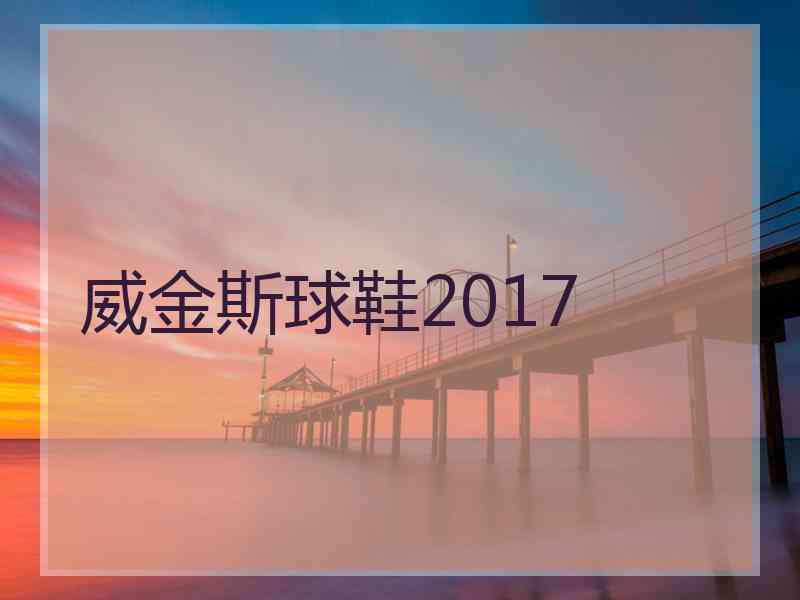 威金斯球鞋2017