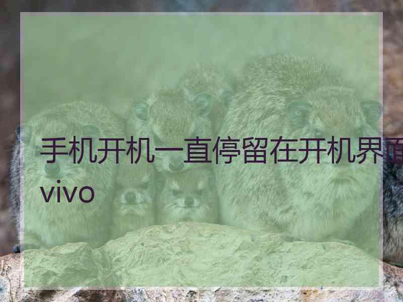 手机开机一直停留在开机界面vivo