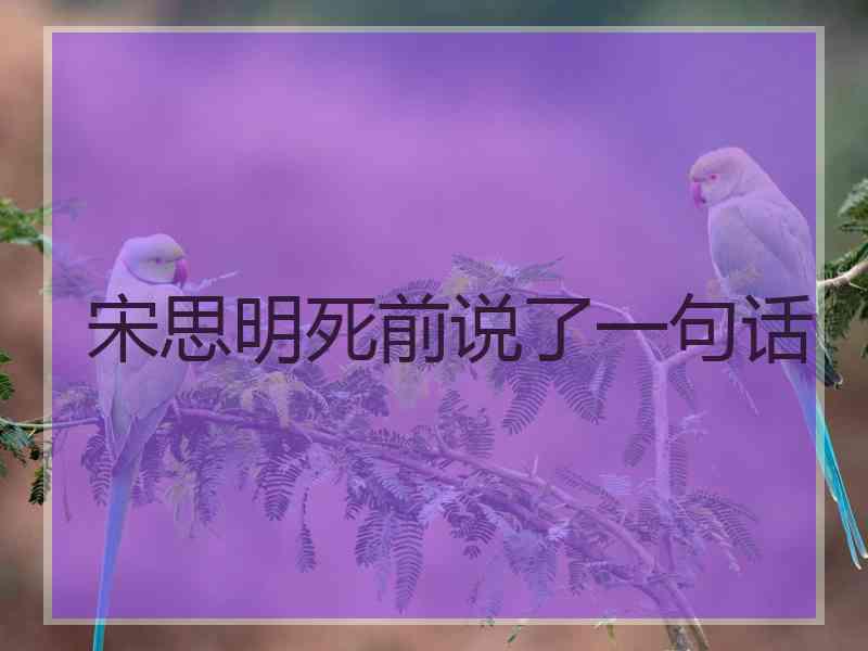 宋思明死前说了一句话