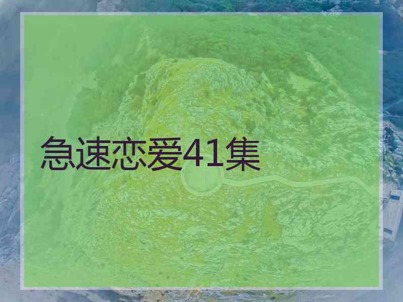 急速恋爱41集