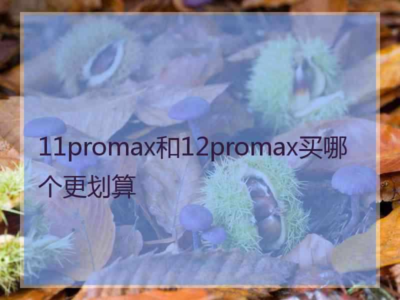 11promax和12promax买哪个更划算