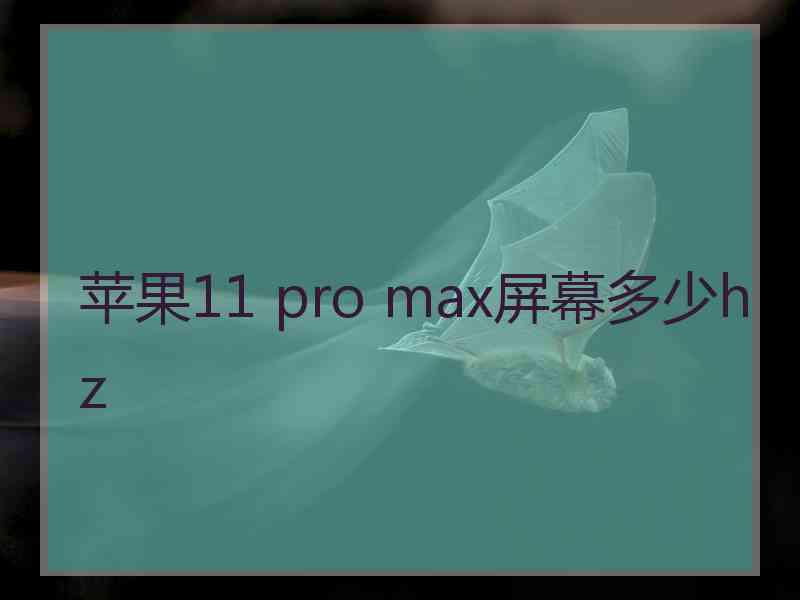 苹果11 pro max屏幕多少hz