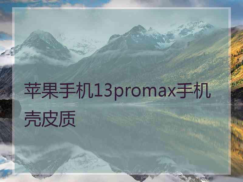 苹果手机13promax手机壳皮质