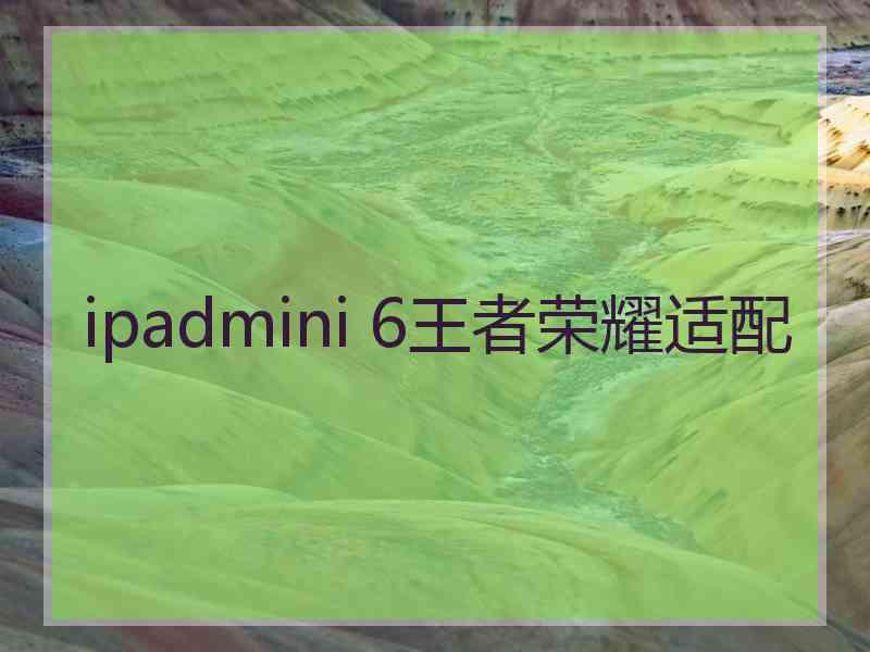 ipadmini 6王者荣耀适配