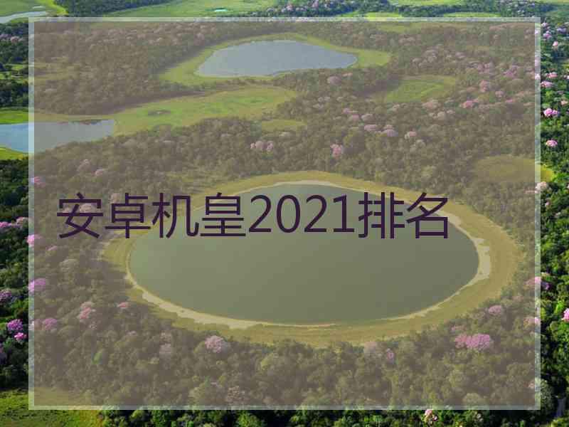 安卓机皇2021排名