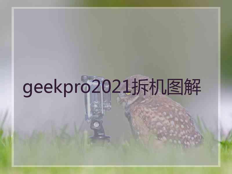 geekpro2021拆机图解