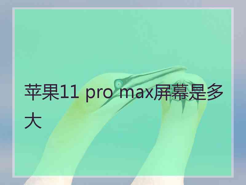 苹果11 pro max屏幕是多大