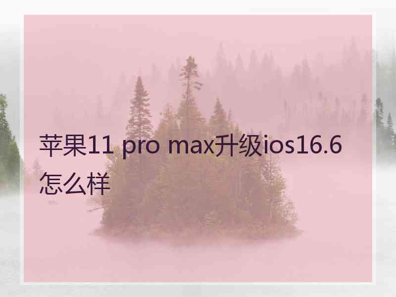 苹果11 pro max升级ios16.6怎么样