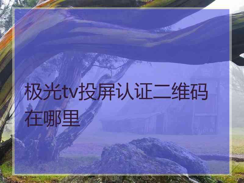 极光tv投屏认证二维码在哪里