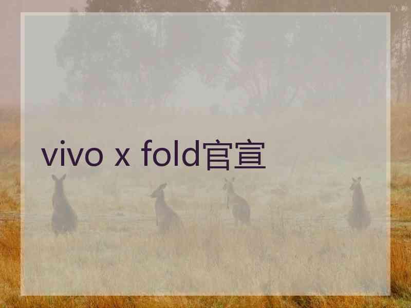 vivo x fold官宣