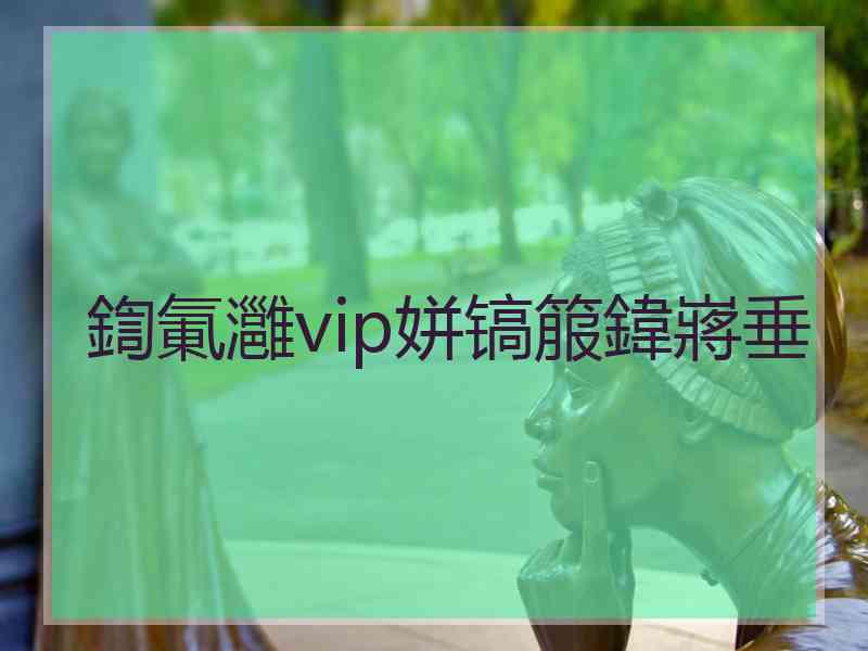 鍧氭灉vip姘镐箙鍏嶈垂