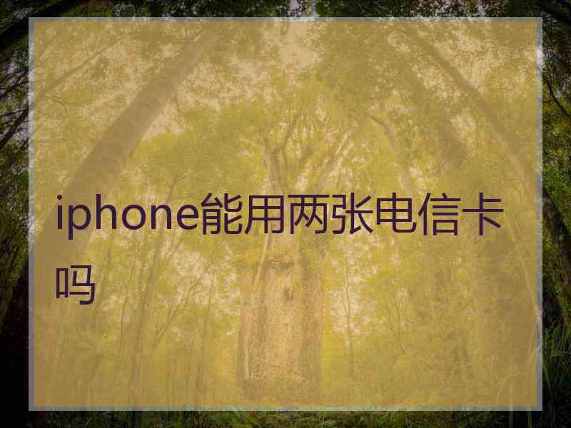 iphone能用两张电信卡吗