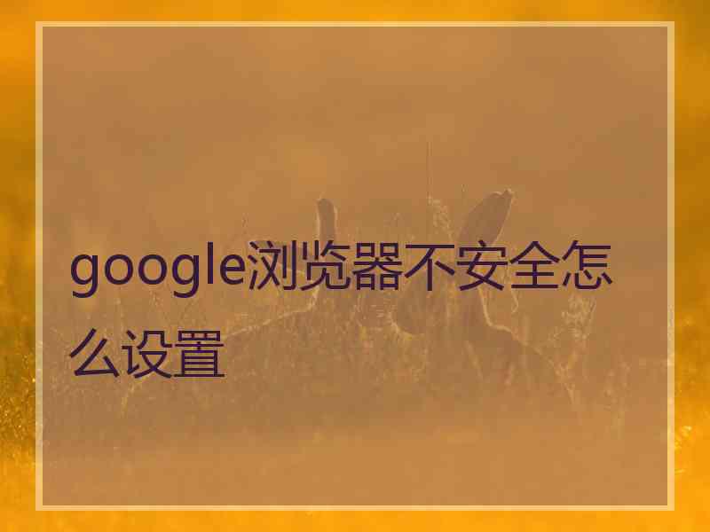 google浏览器不安全怎么设置