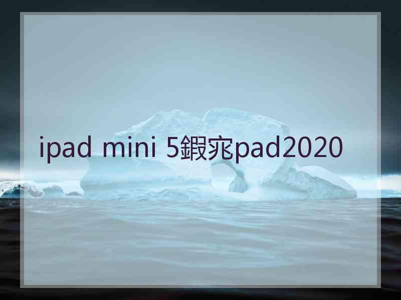 ipad mini 5鍜宨pad2020