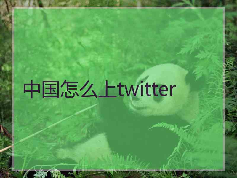 中国怎么上twitter