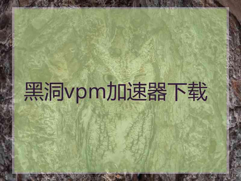 黑洞vpm加速器下载