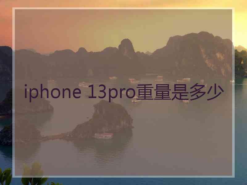 iphone 13pro重量是多少