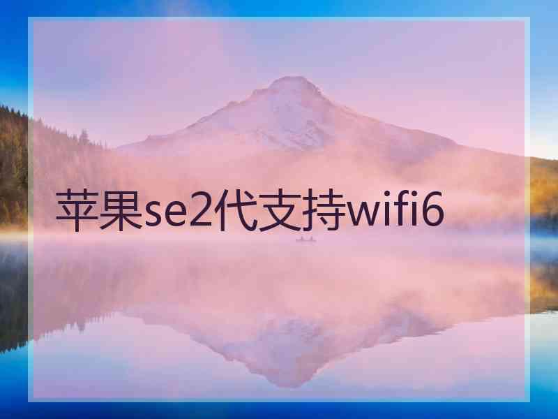 苹果se2代支持wifi6