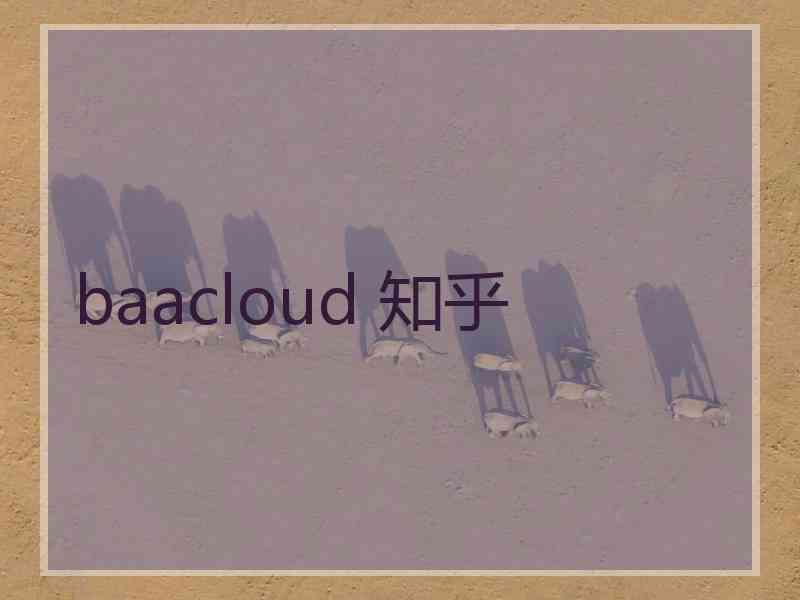 baacloud 知乎