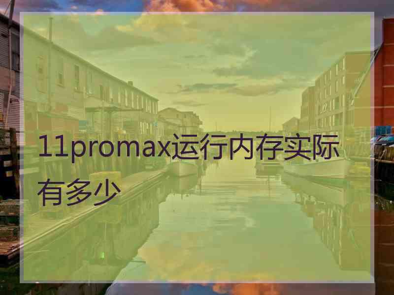 11promax运行内存实际有多少