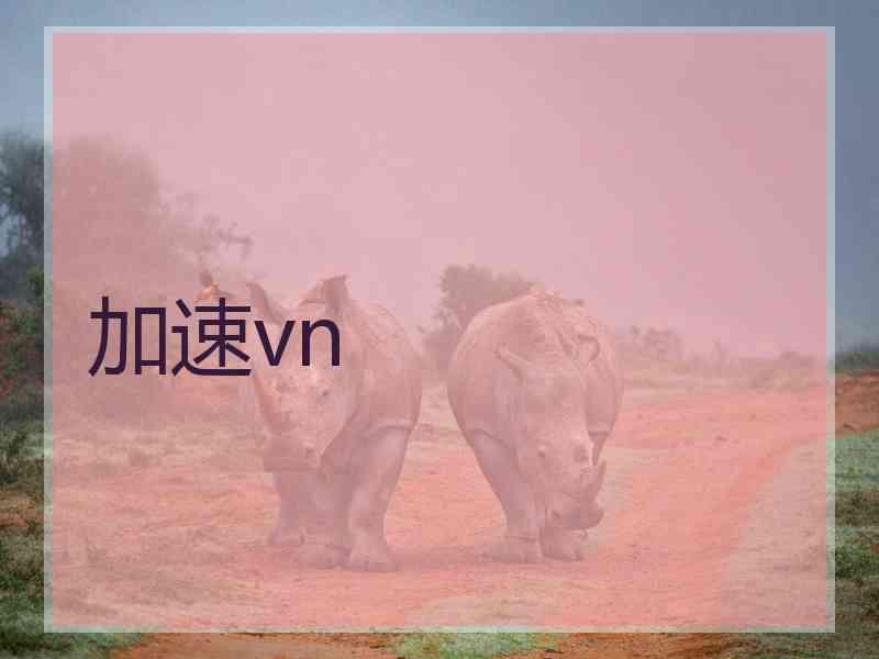 加速vn