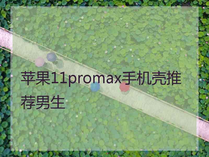 苹果11promax手机壳推荐男生