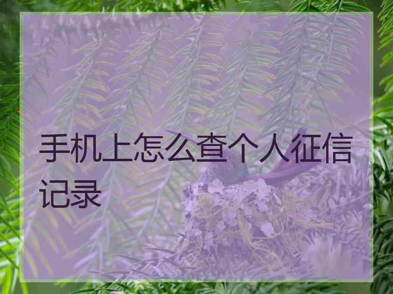 手机上怎么查个人征信记录