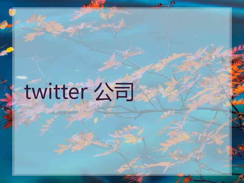 twitter 公司