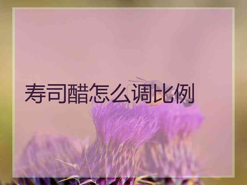 寿司醋怎么调比例