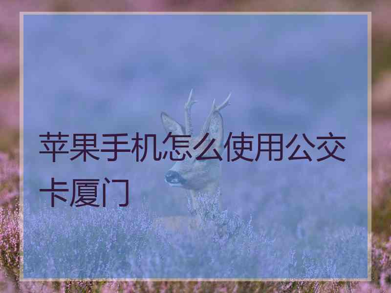 苹果手机怎么使用公交卡厦门