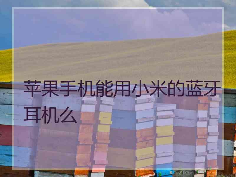 苹果手机能用小米的蓝牙耳机么