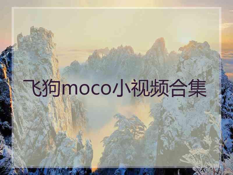 飞狗moco小视频合集