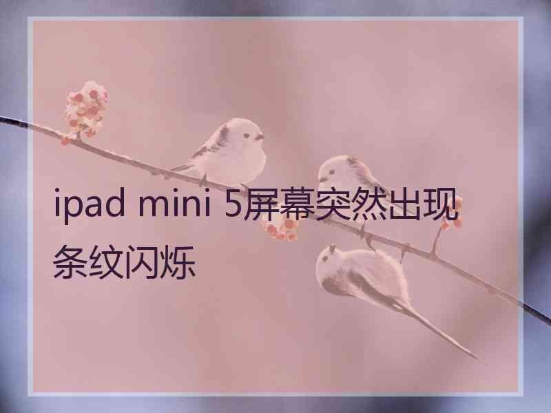 ipad mini 5屏幕突然出现条纹闪烁