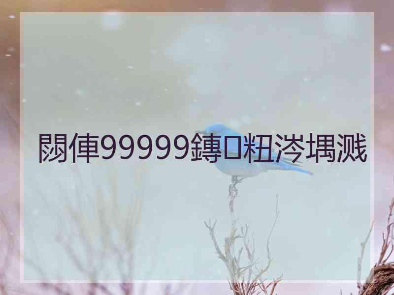 閯俥99999鏄粈涔堣溅