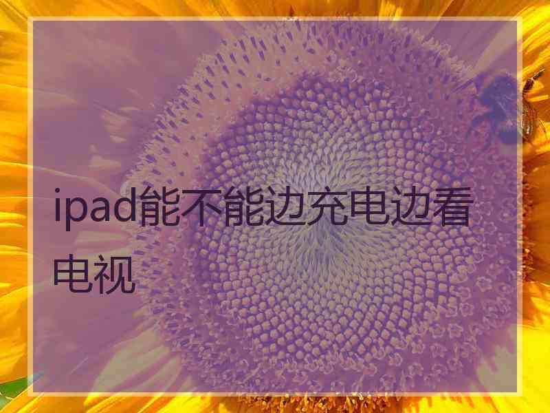 ipad能不能边充电边看电视