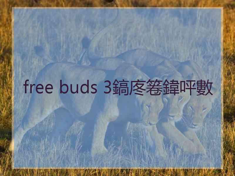 free buds 3鎬庝箞鍏呯數